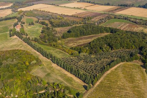 Farm hus i Peccioli, Pisa, Peccioli - € 3.300.000 | Ref: 1203-482097 - foto 25