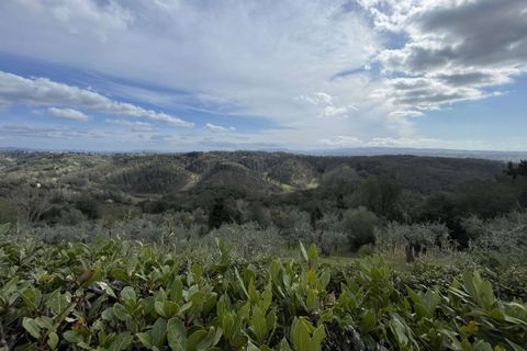 Farm hus i Palaia, Pisa, Palaia - € 1.050.000 | Ref: 1214-482243 - foto 12