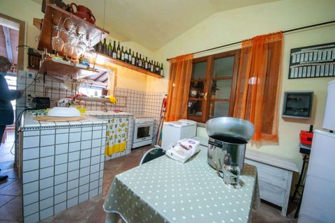 Villa a Chianni, Pisa, Chianni - € 450.000 | Ref: 1247-482569 - foto 14