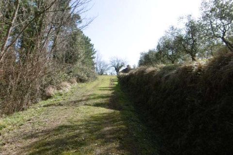 Villa a Chianni, Pisa, Chianni - € 800.000 | Ref: E64-482619 - foto 4