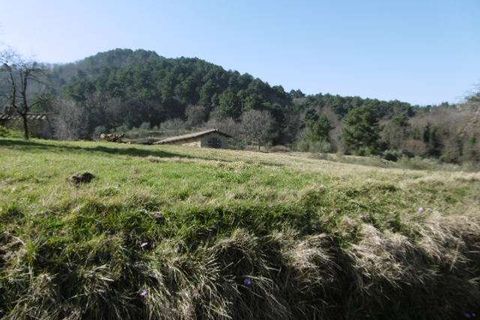 Villa a Chianni, Pisa, Chianni - € 800.000 | Ref: E64-482619 - foto 5