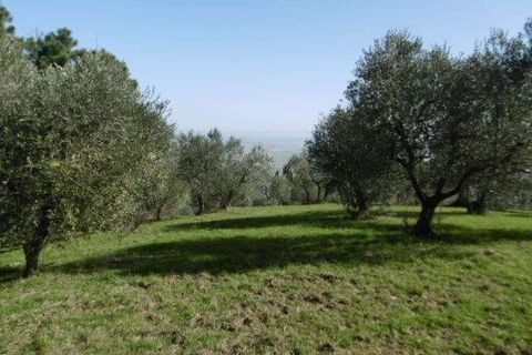 Villa a Chianni, Pisa, Chianni - € 800.000 | Ref: E64-482619 - foto 6