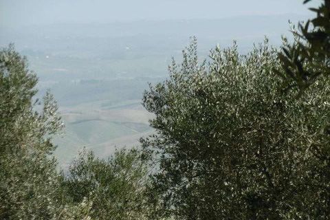 Villa a Chianni, Pisa, Chianni - € 800.000 | Ref: E64-482619 - foto 8