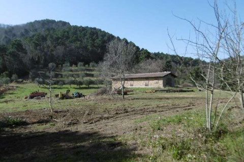 Villa a Chianni, Pisa, Chianni - € 800.000 | Ref: E64-482619 - foto 12