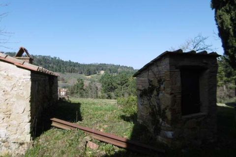 Villa a Chianni, Pisa, Chianni - € 800.000 | Ref: E64-482619 - foto 13
