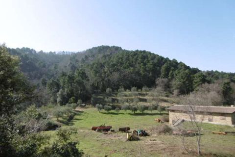 Villa a Chianni, Pisa, Chianni - € 800.000 | Ref: E64-482619 - foto 23