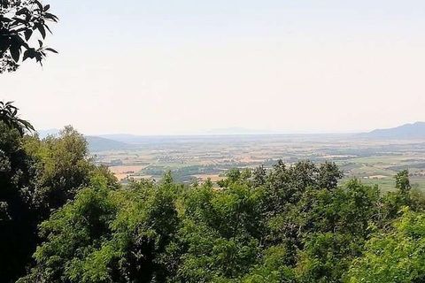 Lejlighed i Roccastrada, Grosseto, Roccastrada - € 900.000 | Ref: MB1420-483185 - foto 7