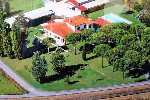 Villa i Pietrasanta, Lucca, Pietrasanta - € 1.950.000 | Ref: MB1248-483256 - foto 18
