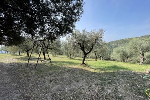 Leilighet i Vecchiano, Pisa, Vecchiano - € 1 200 000 | Ref: 1283-483299 - foto 5
