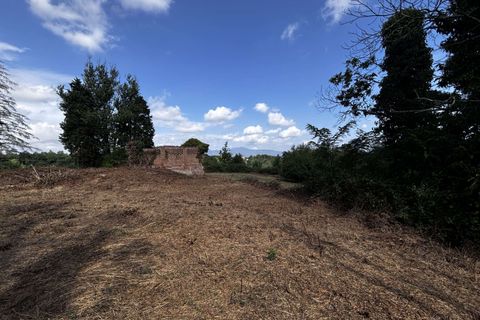 Villa a Pontedera, Pisa, Pontedera - € 630.000 | Ref: 1296-483585 - foto 14