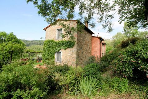 Villa a Buggiano, Pistoia, Buggiano - € 690.000 | Ref: MB496-483879 - foto 6
