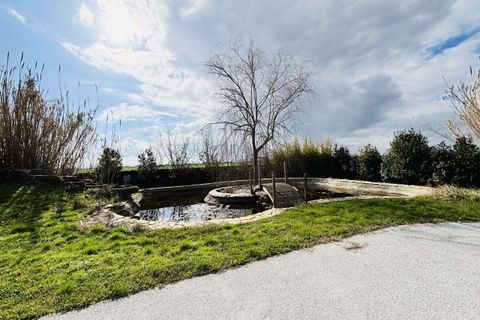 Villa i Cascina, Pisa, Cascina - € 950.000 | Ref: AC120060-483900 - foto 4