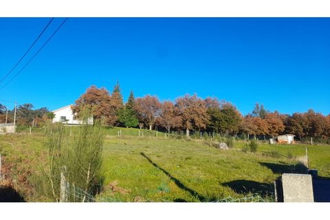 Helårsgrund i Ponte de Lima, Viana do Castelo, Ponte de Lima - € 38.000 | Ref: PTL-016-022 - foto 1