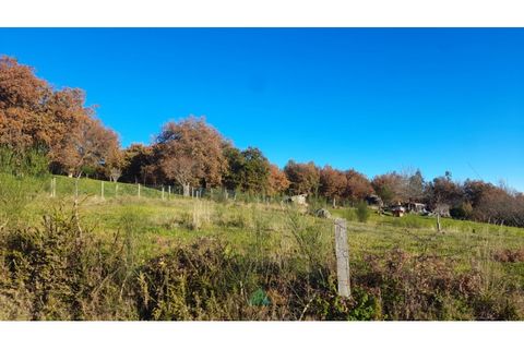 Helårsgrund i Ponte de Lima, Viana do Castelo, Ponte de Lima - € 38.000 | Ref: PTL-016-022 - foto 3
