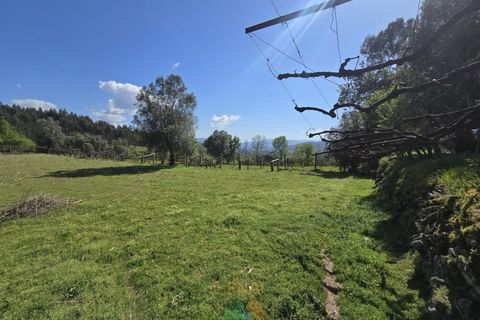 Villa i Arcos de Valdevez, Viana do Castelo, Arcos de Valdevez - € 162.000 | Ref: AVV-002-010 - foto 4