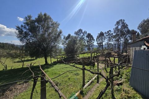 Villa i Arcos de Valdevez, Viana do Castelo, Arcos de Valdevez - € 162.000 | Ref: AVV-002-010 - foto 6