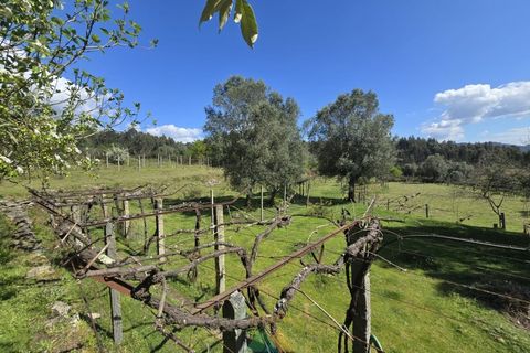 Villa i Arcos de Valdevez, Viana do Castelo, Arcos de Valdevez - € 162.000 | Ref: AVV-002-010 - foto 7