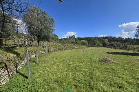Villa i Arcos de Valdevez, Viana do Castelo, Arcos de Valdevez - € 162.000 | Ref: AVV-002-010 - foto 8
