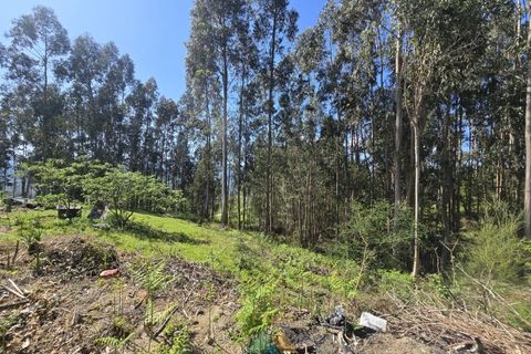 Villa i Arcos de Valdevez, Viana do Castelo, Arcos de Valdevez - € 162.000 | Ref: AVV-002-010 - foto 9