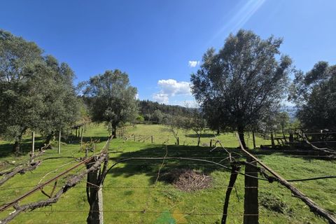 Villa i Arcos de Valdevez, Viana do Castelo, Arcos de Valdevez - € 162.000 | Ref: AVV-002-010 - foto 10