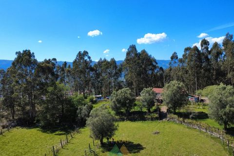 Villa i Arcos de Valdevez, Viana do Castelo, Arcos de Valdevez - € 162.000 | Ref: AVV-002-010 - foto 12
