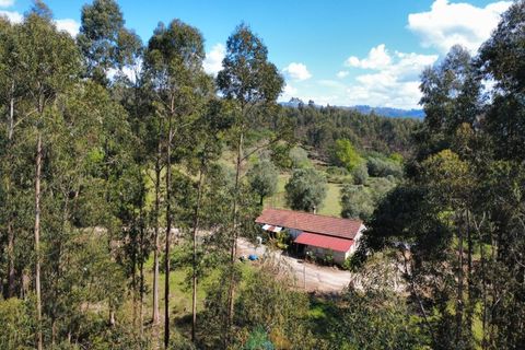 Villa i Arcos de Valdevez, Viana do Castelo, Arcos de Valdevez - € 162.000 | Ref: AVV-002-010 - foto 14