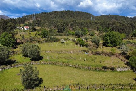 Villa i Arcos de Valdevez, Viana do Castelo, Arcos de Valdevez - € 162.000 | Ref: AVV-002-010 - foto 19