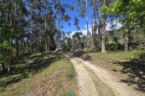 Villa i Arcos de Valdevez, Viana do Castelo, Arcos de Valdevez - € 162.000 | Ref: AVV-002-010 - foto 22