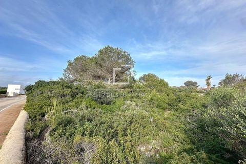 Terra a Binidali, Menorca, Binidali - € 385.245 | Ref: MEN58292 - foto 5