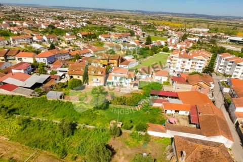 Villa i Coimbra, Coimbra, Coimbra - € 359.000 | Ref: CBRAC 5929 - foto 45
