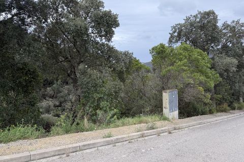 Helårsgrund i Calonge, Gerona, Calonge - € 58.000 | Ref: 300 - foto 6