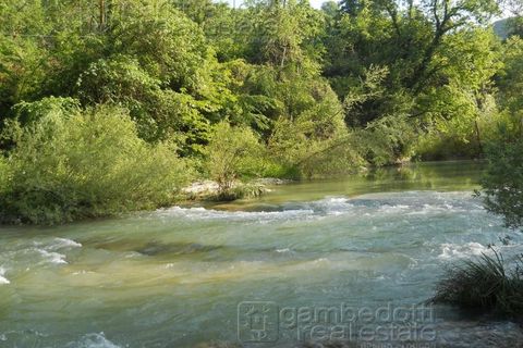 Terra a Acqualagna, Pesaro and Urbino, Acqualagna - € 198.000 | Ref: 0510 - foto 12