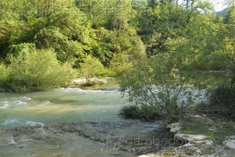 Terra a Acqualagna, Pesaro and Urbino, Acqualagna - € 198.000 | Ref: 0510 - foto 13