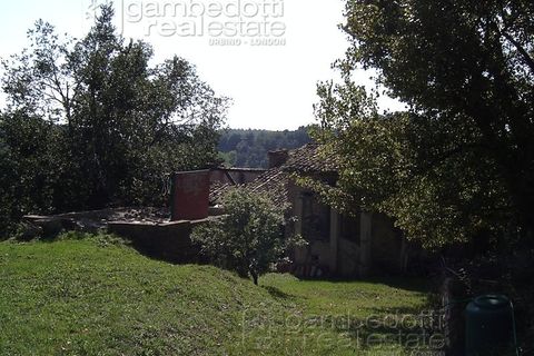Landejendom i Urbino, Pesaro and Urbino, Urbino - € 79.000 | Ref: 1329B - foto 10