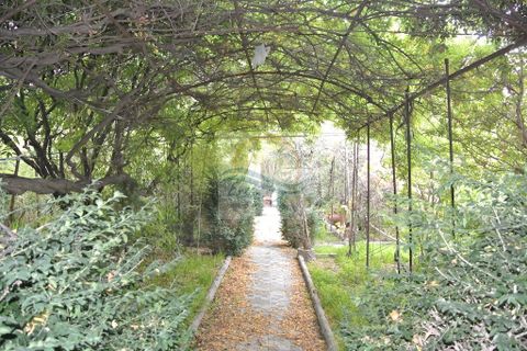 Villa i Ventimiglia, Imperia, Ventimiglia - € 1.500.000 | Ref: IV661 - foto 8