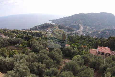 Villa i Ventimiglia, Imperia, Ventimiglia - € 790.000 | Ref: iv760 - foto 8
