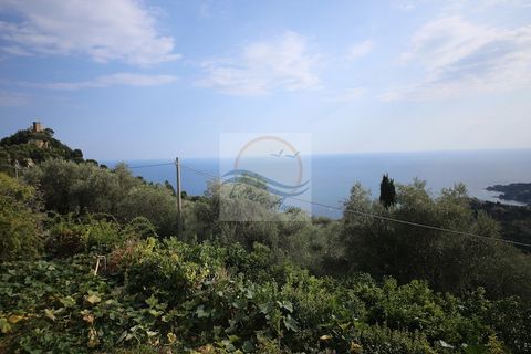 Villa i Ventimiglia, Imperia, Ventimiglia - € 790.000 | Ref: iv760 - foto 9