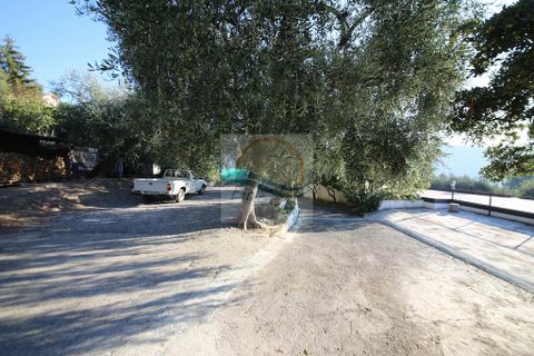 Villa a Camporosso, Imperia, Camporosso - € 1.098.000 | Ref: iv989 - foto 2