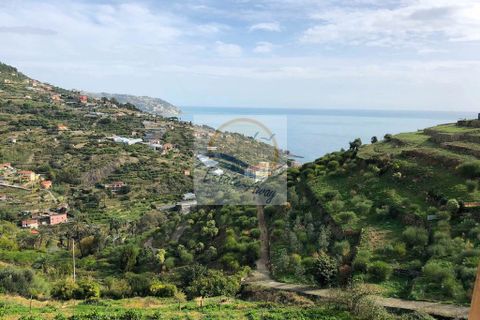 Villa i Bordighera, Imperia, Bordighera - € 900.000 | Ref: iv1033 - foto 2