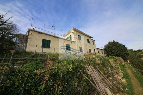 Villa i Bordighera, Imperia, Bordighera - € 900.000 | Ref: iv1033 - foto 3