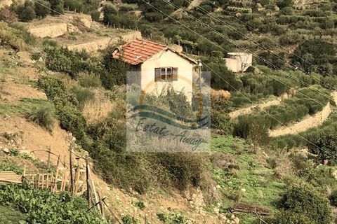 Villa i Bordighera, Imperia, Bordighera - € 900.000 | Ref: iv1033 - foto 7