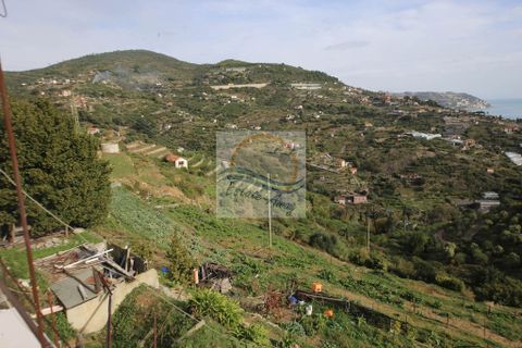 Villa i Bordighera, Imperia, Bordighera - € 900.000 | Ref: iv1033 - foto 8
