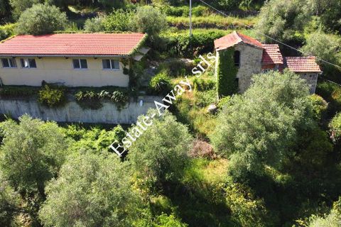 Villa i Vallebona, Imperia, Vallebona - € 500.000 | Ref: iv1064 - foto 2