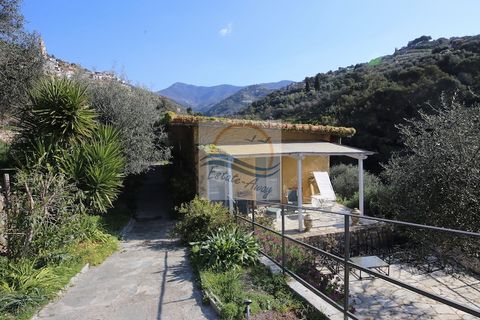 Villa i Vallebona, Imperia, Vallebona - € 500.000 | Ref: iv1064 - foto 3