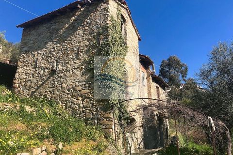 Villa i Vallebona, Imperia, Vallebona - € 500.000 | Ref: iv1064 - foto 6
