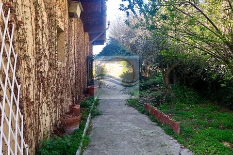 Villa i Vallebona, Imperia, Vallebona - € 500.000 | Ref: iv1064 - foto 7