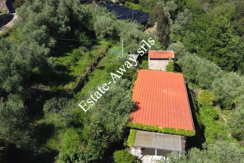 Villa i Vallebona, Imperia, Vallebona - € 500.000 | Ref: iv1064 - foto 8