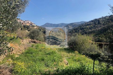 Villa i Vallebona, Imperia, Vallebona - € 500.000 | Ref: iv1064 - foto 13