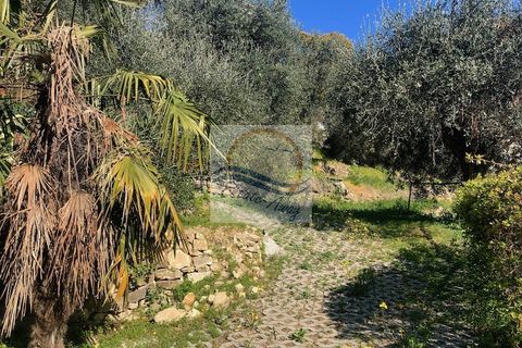 Villa i Vallebona, Imperia, Vallebona - € 500.000 | Ref: iv1064 - foto 14