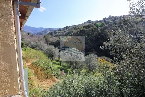 Villa i Vallebona, Imperia, Vallebona - € 500.000 | Ref: iv1064 - foto 15